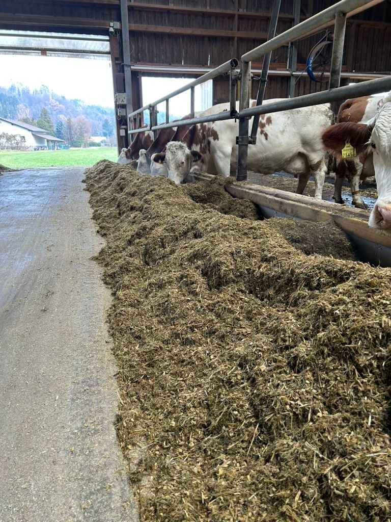 Fütterungsmanagement Case Study