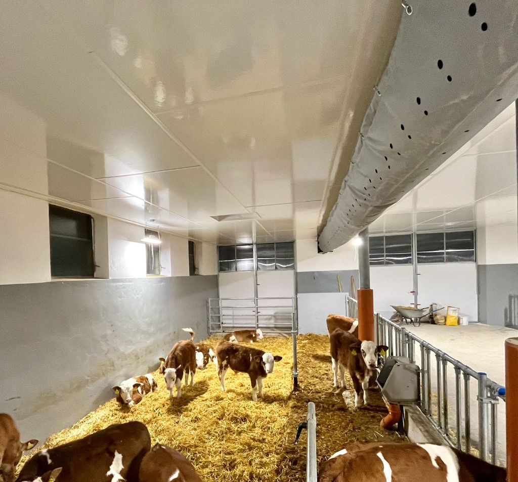 Fallbeispiel Schlauchbelüftung