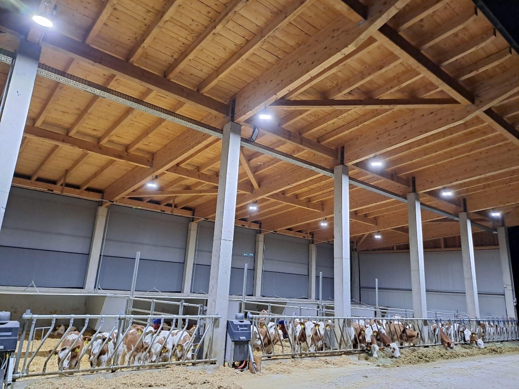 Modern Bov-IQ optimierter Stall