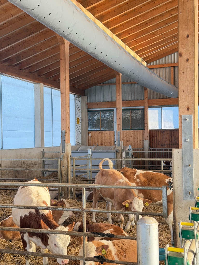 Bov-IQ Schlauchbelüftung in der Praxis